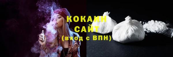 соль ск Белокуриха