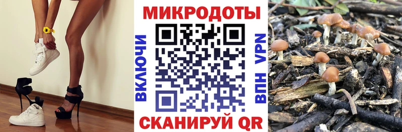 Галлюциногенные грибы мицелий  Бутурлиновка 