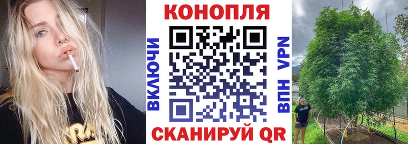 Бошки Шишки сатива  Бутурлиновка 